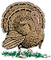 Gobble gobble!